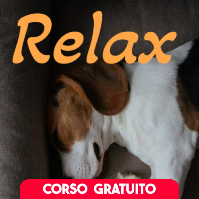 corso-relax-come-imparare-a-rilassarsi-luca-romito-square