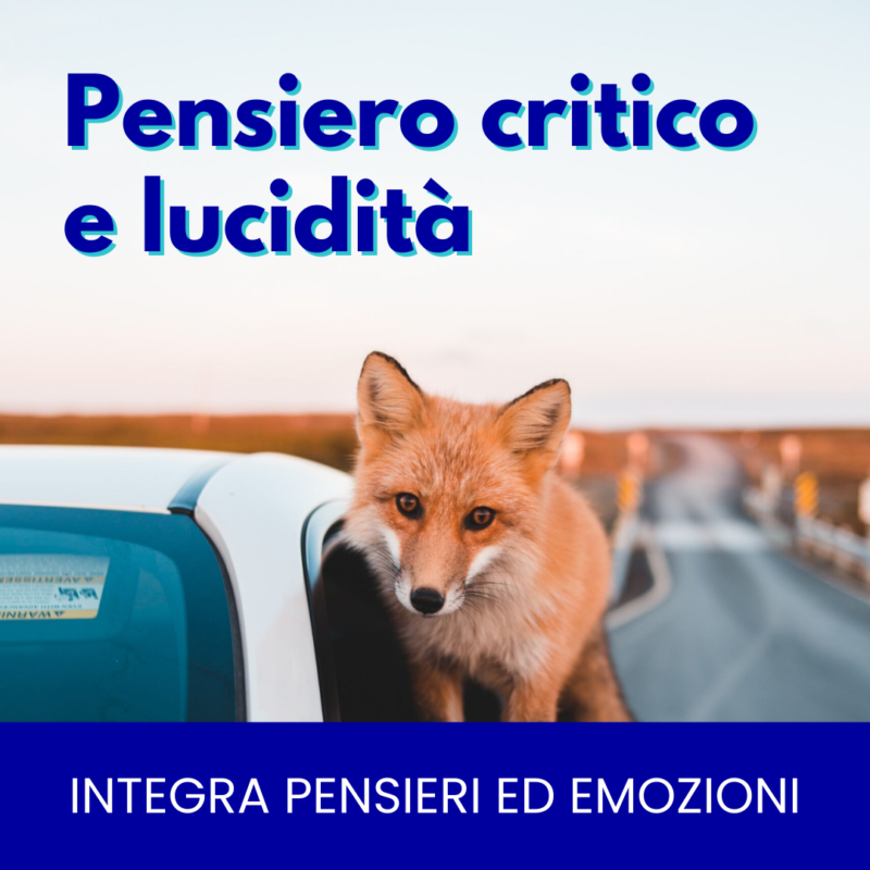 pensiero-critico-e-lucidita-corso-luca-romito-square